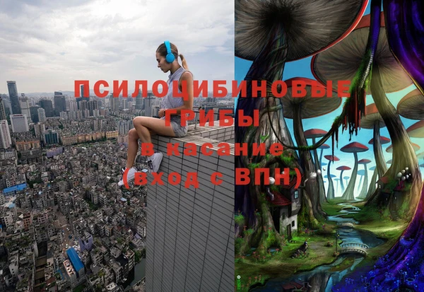 стафф Лихославль