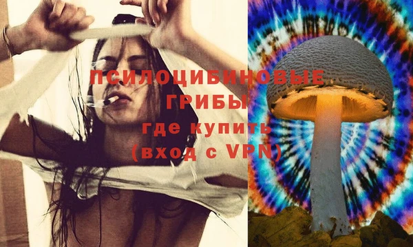стафф Лихославль
