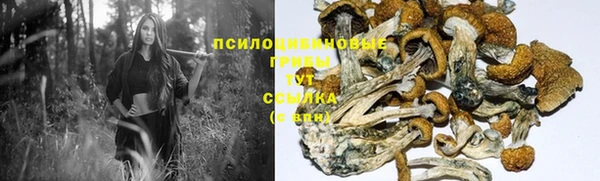 соль курить ск Ладушкин