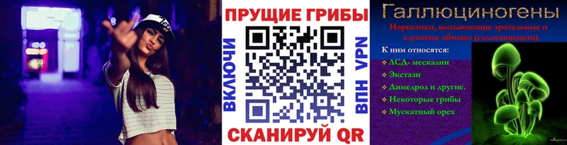 Псилоцибиновые грибы GOLDEN TEACHER  цена наркотик  Яблоновский 
